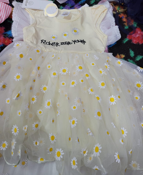 Little Sunshine Daisy Net Frock