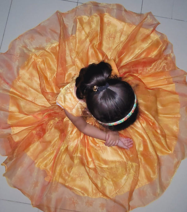 Organza net silk frock